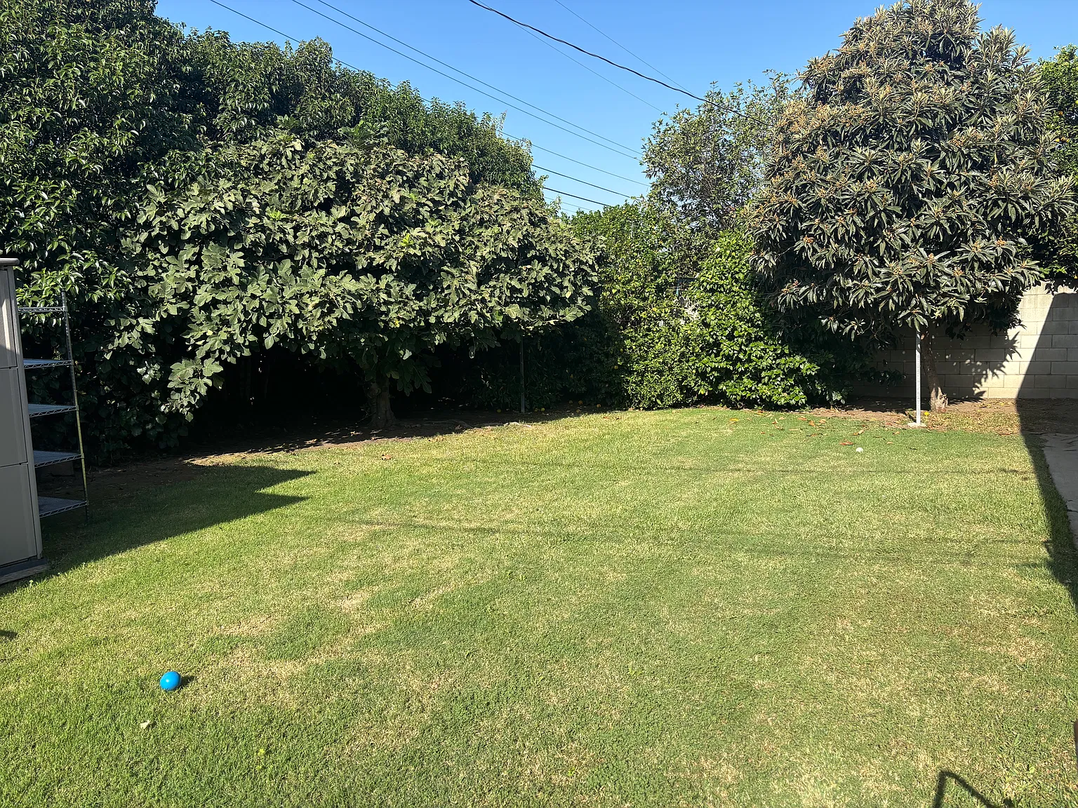 3 bed, 1432 sqft, $3,000 — Photo 2