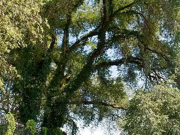 85 East End Avenue image 16 of 28