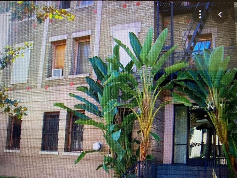 1st image of 443 S Catalina St #222