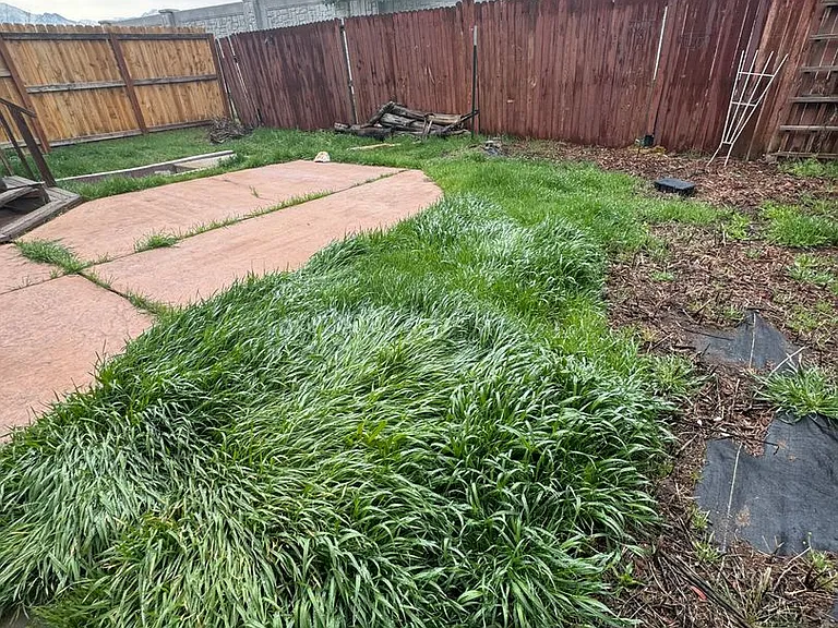 2487 W Dutch Draw Dr — Photo 16