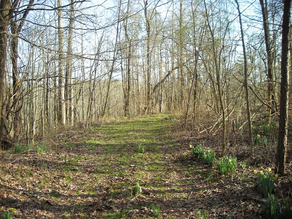 North end of property near Bull Gap Rd.