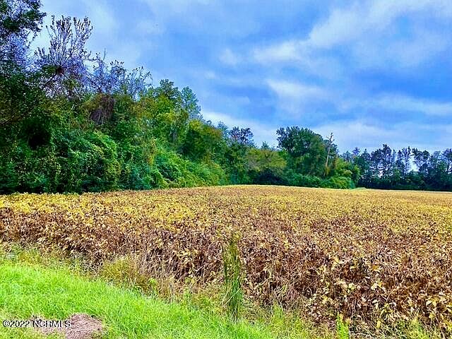 2nd image of 22.61 Acre Pelham