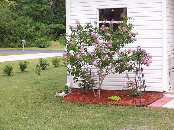 Shed on carport from the back.