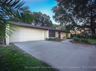 8901 Anna Maria Way, Odessa, FL 33556
