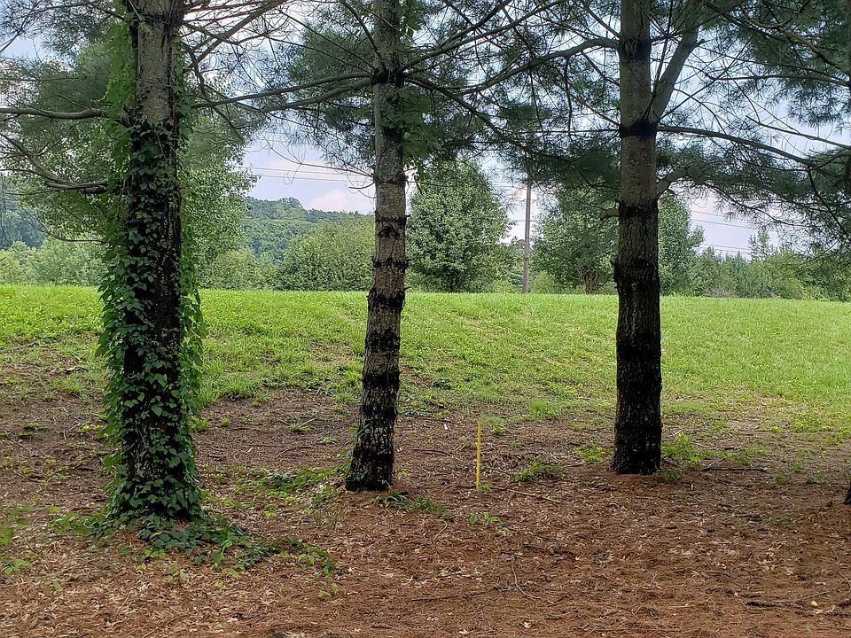 Behind the condo