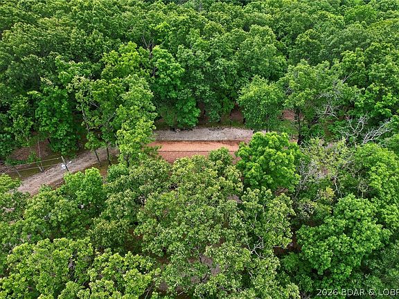 3rd image of 16376 Twisted Tree Rd