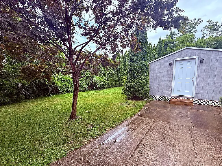 Driveway and backyard