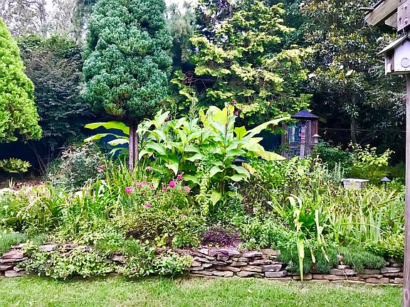 View from private deck. 