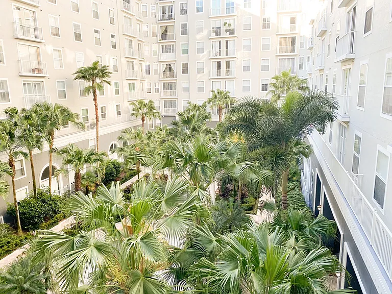View from Balcony