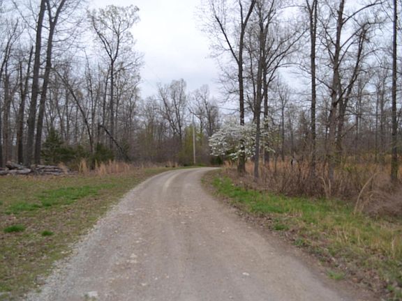 2nd image of 248 Bear Bluff Ln