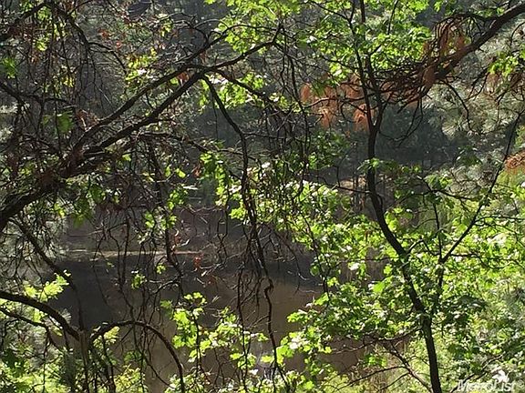 3rd image of 6196 Homestead Dr