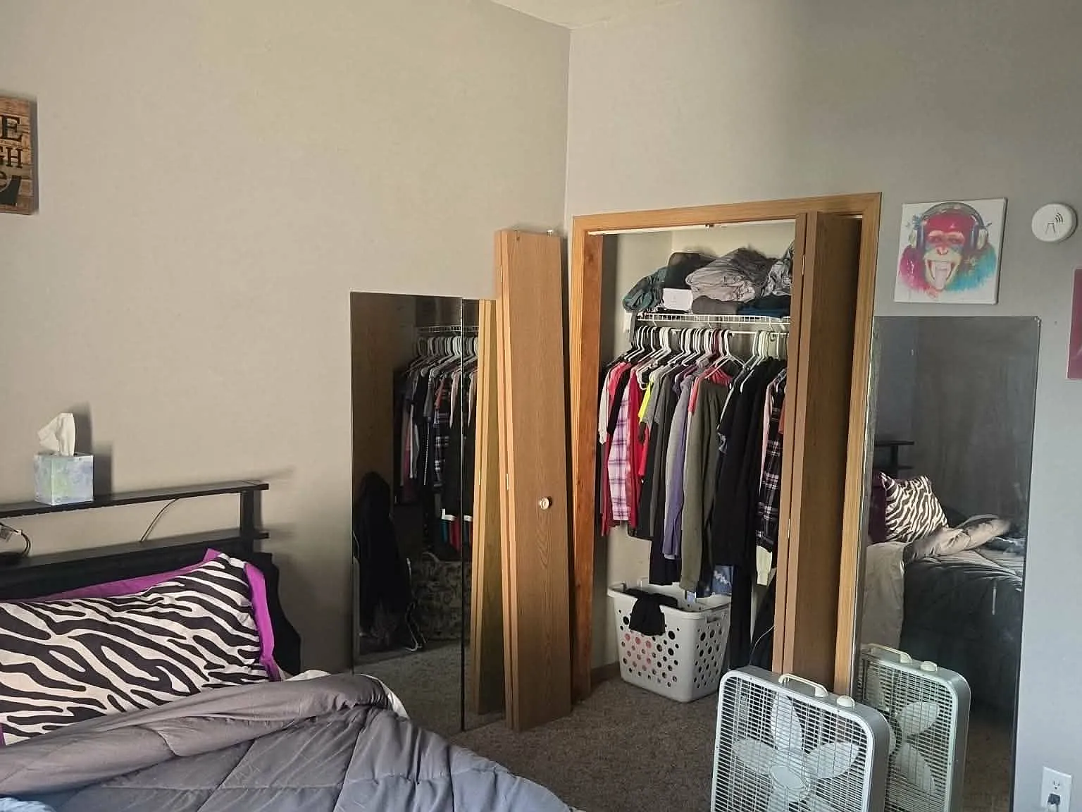 3 bed, $975 — Photo 2