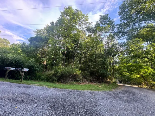 Irish Corner Rd, Summersville, WV 26651