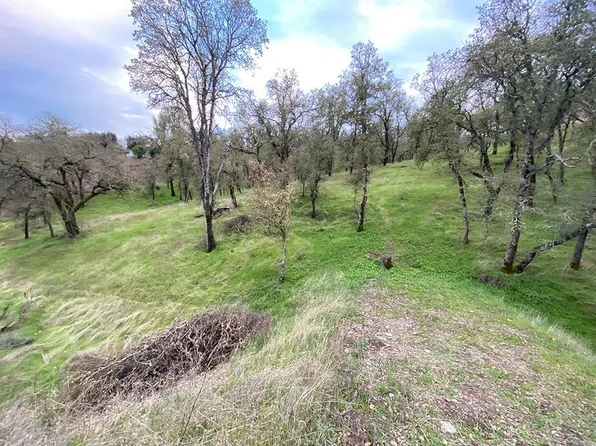 1307 Acorn St, Copperopolis, CA 95228