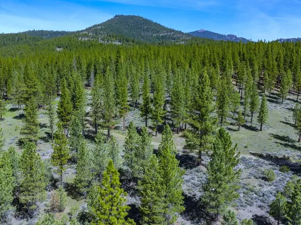 73077 Highway 70, Portola, CA 96122
