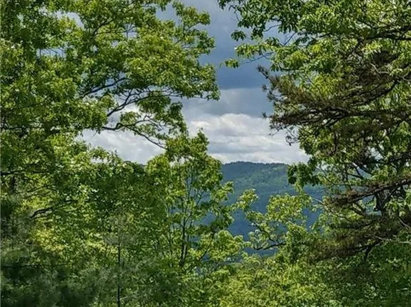 0 Dogwood Ln Unit E-2, Penrose, NC 28766