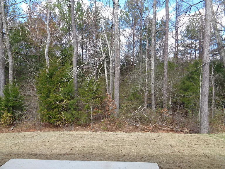 602 The Heights Ln — Photo 10