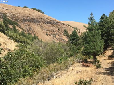 Swale Cyn, Lyle, WA, 98635