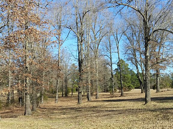 Clear property west view