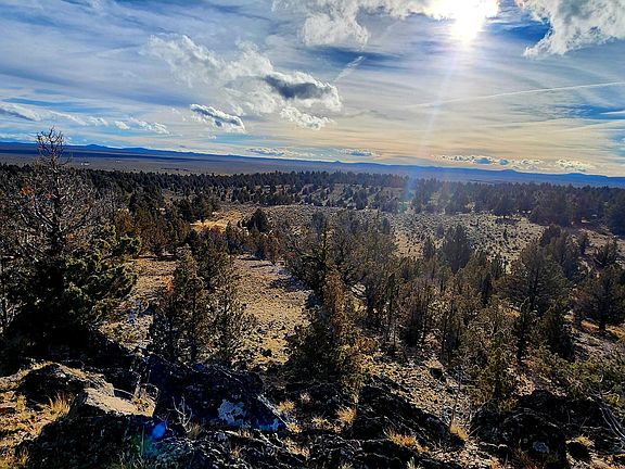 2nd image of Merrill Rd #1800