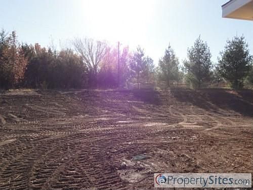 3rd image of 3713 Shadow Wood Ln