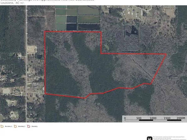 Belle Woods Dr, Holden, LA 70744