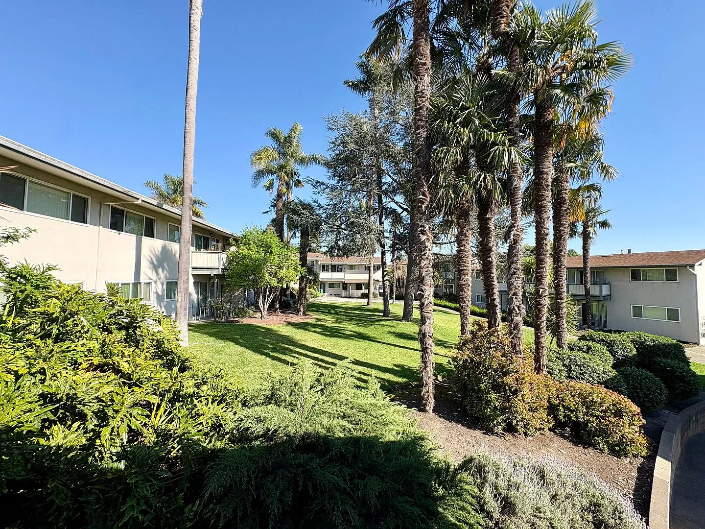 Fairmount Palms — Photo 4