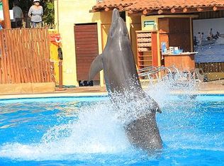 11 Hampshire Rd, Wayland, MA 01778