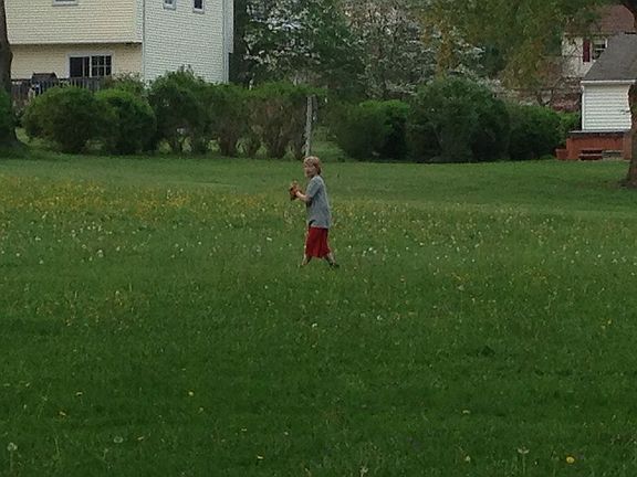 Large backyard (1 acre)