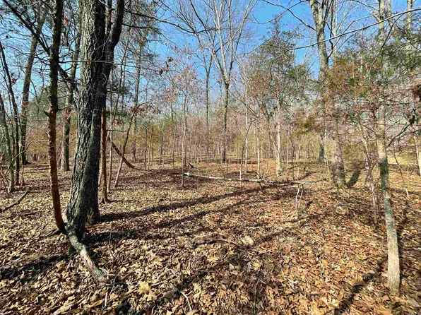 0 Peace Mountain Rd, Mountain View, AR 72560