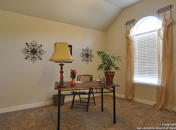 2nd image of 3634 Globe Willow