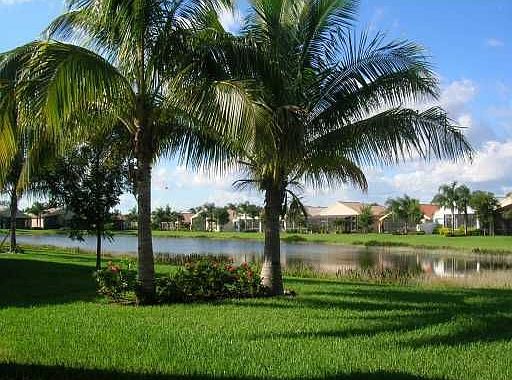 lake view