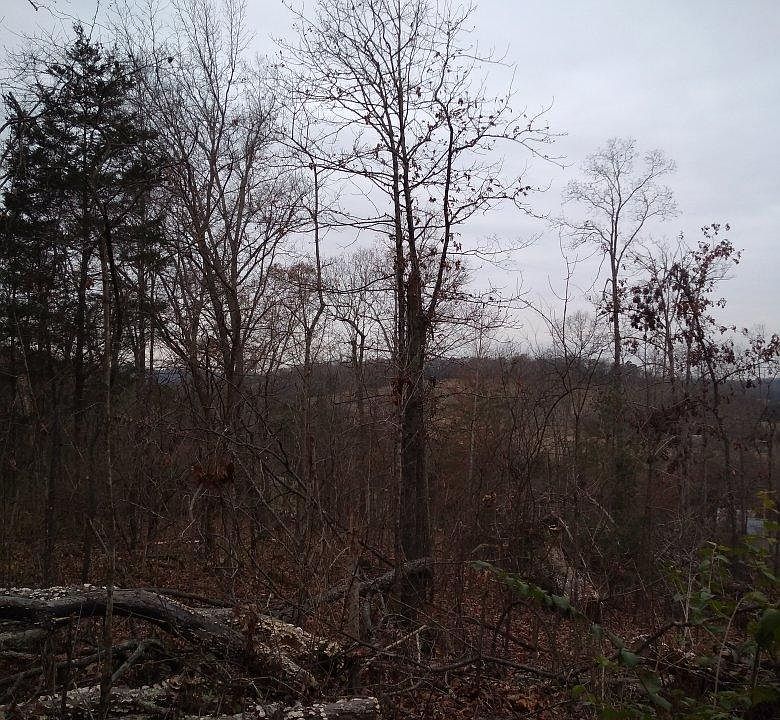 2nd image of 660 Johnson Rd Lot 2