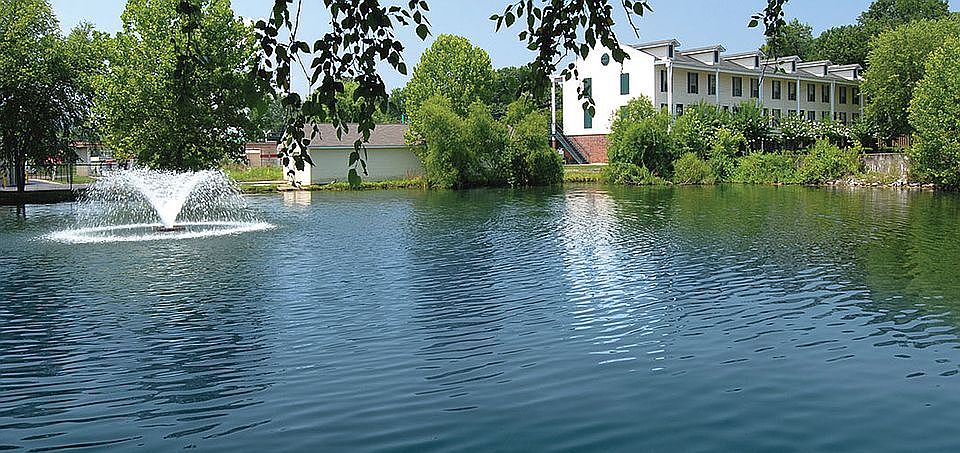 Pond
