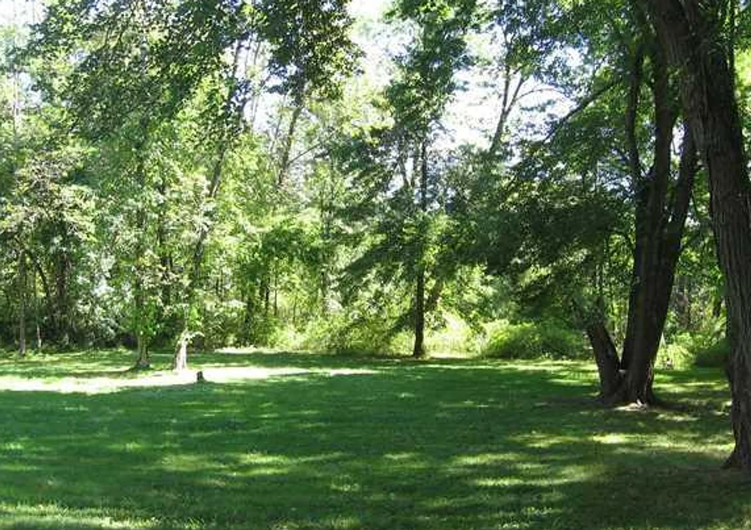 3 Bedroom Bloomfield Single Family Rental — Photo 3