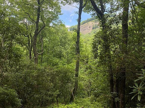 2nd image of Lot 14 Double Knob Trail