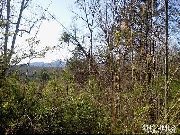 1st image of Henry Clay Cv