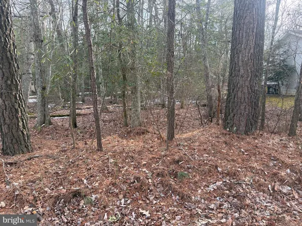 34 Robin Hood Trl, Berlin, MD 21811