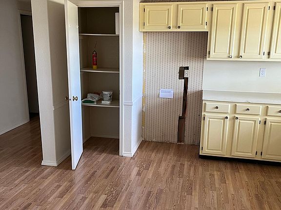 Kitchen pantry closet and refrigerator space.