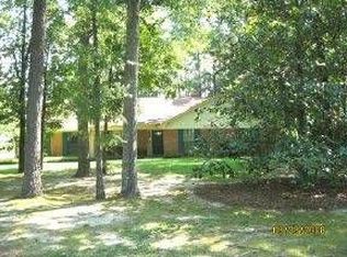 911 Audubon Point Dr, Brandon, MS 39047