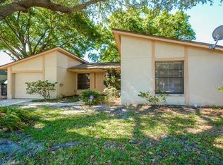 10112 Springtree Ct, Tampa, FL 33615