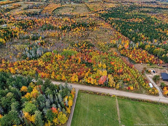5th image of LOT 7 Tay Falls Rd