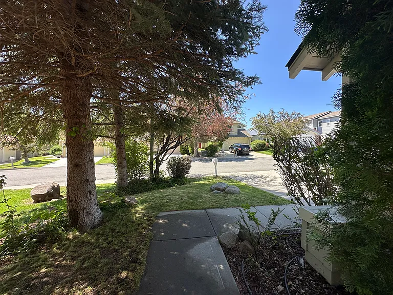 2635 Alpine Creek Rd — Photo 3