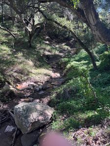 800 Toro Canyon Rd, Santa Barbara, CA, 93108