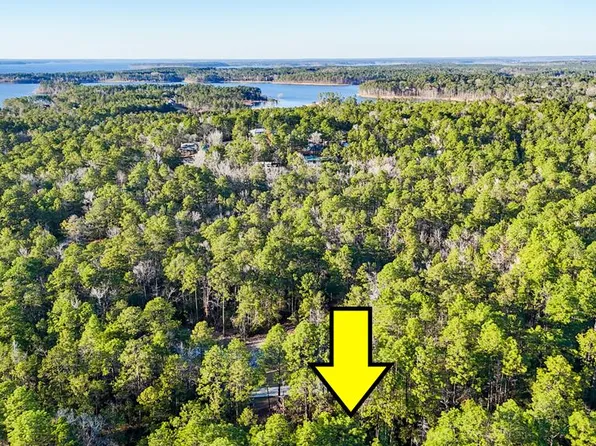 206 Tupelo Dr, Brookeland, TX 75931