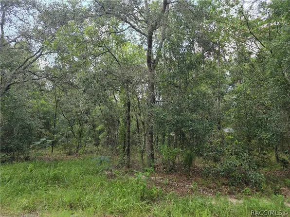 3211 E Millside Ln, Inverness, FL 34453