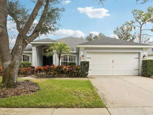 15126 Shearcrest Dr, Lithia, FL 33547