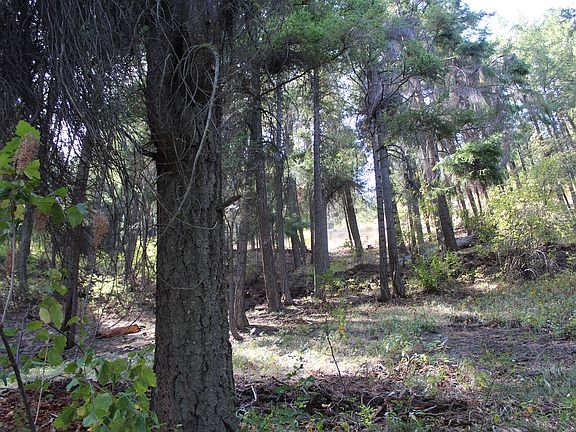 5th image of Nna Pine Cliffs Ave Lot 33