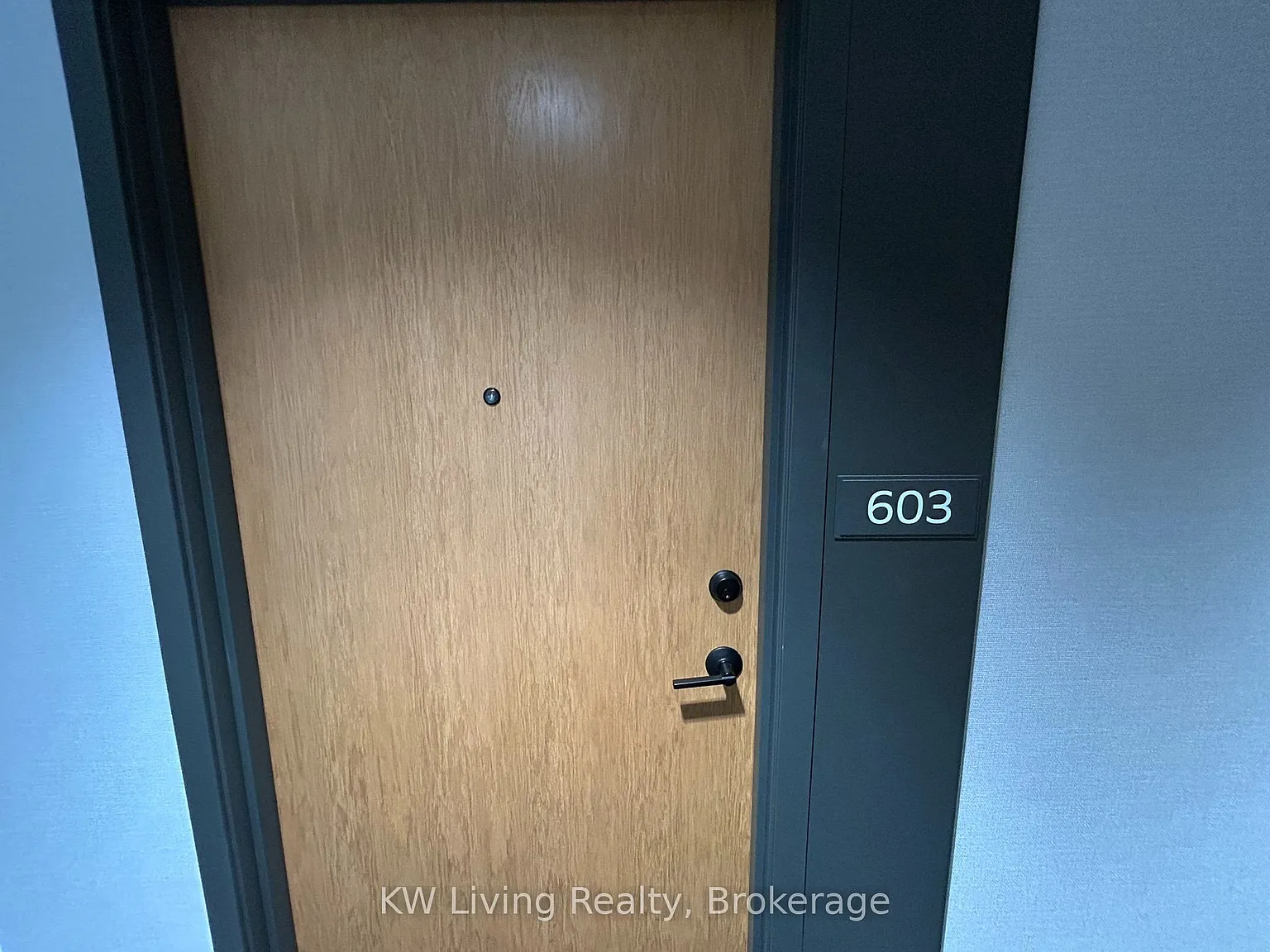 Kindred — Photo 3