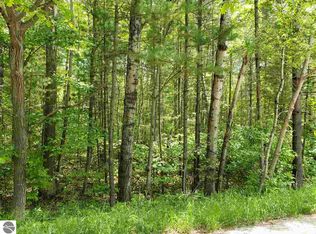 2727 E Mullett Lake Rd, Indian River, MI 49749